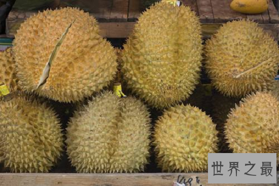 【图】清点榴莲的效用，“水果之王”可不是白叫的