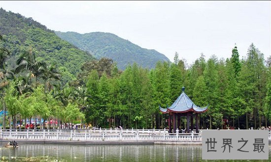 【图】最新中国三大火炉，重庆耸立不倒，武汉南京被