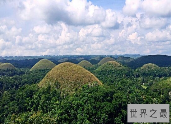 【图】菲律宾最奇怪的山 巧克力山（夏天会人造变色