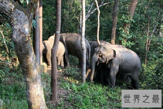 【图】寒假旅行好去处 三亚厦门九寨沟各种中央随你挑