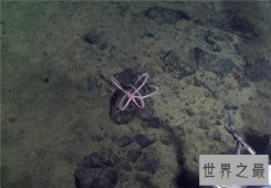 【图】世界上最深的海沟排行榜，第一名形成时间已经