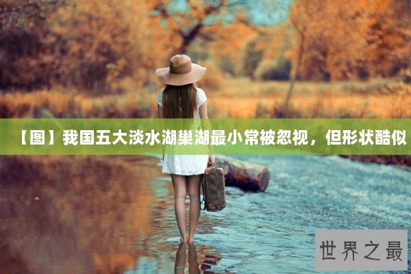 【图】我国五大淡水湖巢湖最小常被忽视，但形状酷似