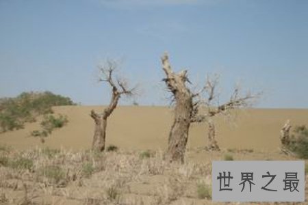 【图】中国四大盆地有哪些呢 看了这些四大盆地果真名