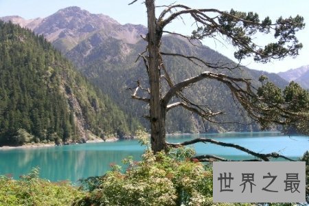 【图】中国四大盆地有哪些呢 看了这些四大盆地果真名