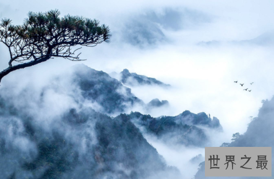 【图】黄山四绝每一绝都美轮美奂 让人依依不舍