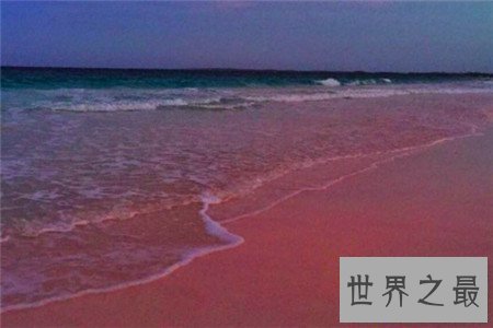 【图】粉色沙滩只管非常难看 少女心十足