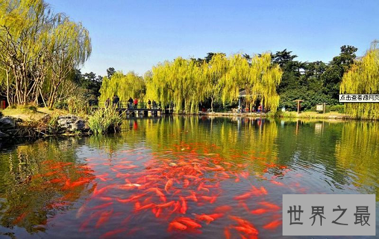 【图】最经典的西湖十景引见 2.8千米的苏堤竟成为十景