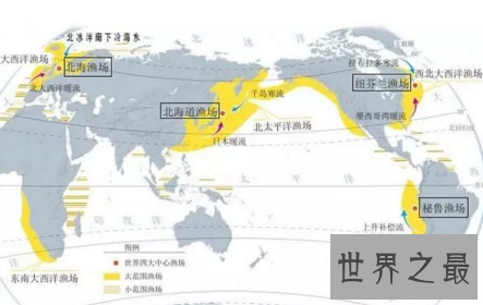 【图】四大渔场渔业资源如此丰富的秘密这回假相了