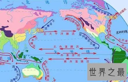 【图】四大渔场渔业资源如此丰富的秘密这回假相了