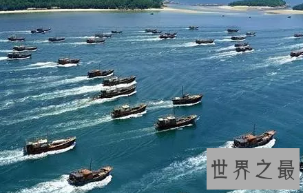 【图】四大渔场渔业资源如此丰富的秘密这回假相了