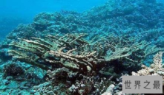 【图】马绍尔群岛，太平洋上的黑珍珠，度假圣地