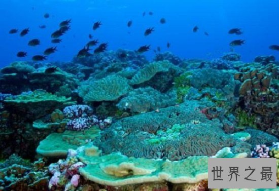 【图】马绍尔群岛，太平洋上的黑珍珠，度假圣地