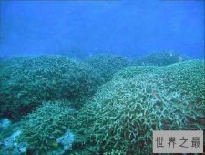 【图】马绍尔群岛，太平洋上的黑珍珠，度假圣地