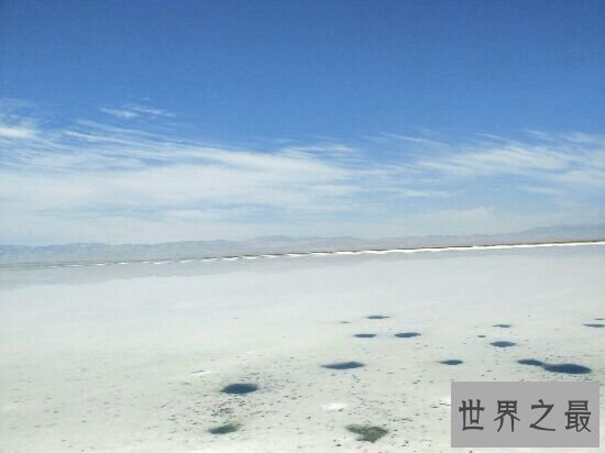 【图】最美的中央，第一个竟然是日本！紫藤花真的很