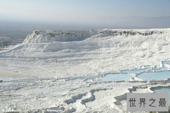 【图】最美的中央，第一个竟然是日本！紫藤花真的很