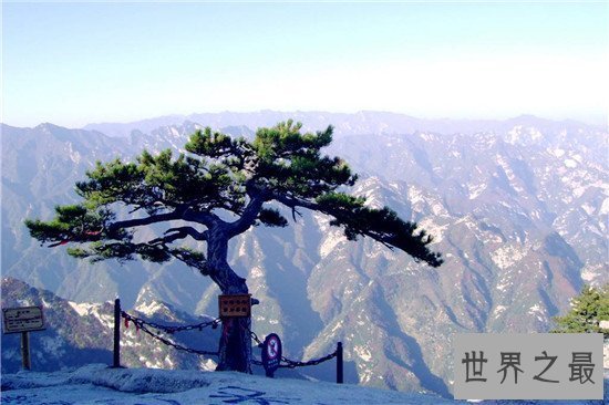 【图】中国五岳出名世界 五岳之首泰山一眼望不尽的美