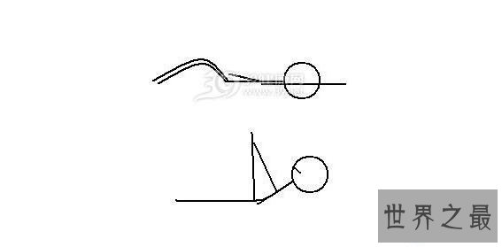 【图】教你如何练出比基尼桥，领有最完美女人身体