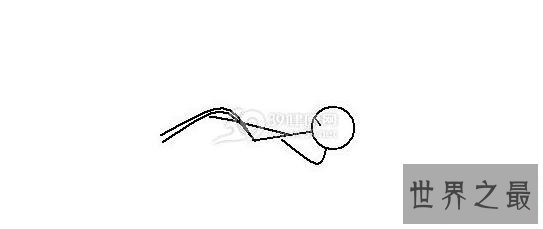 【图】教你如何练出比基尼桥，领有最完美女人身体