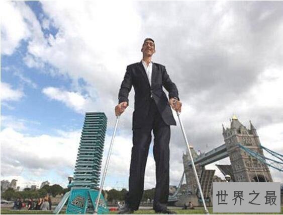 【图】世界上最高的人苏尔坦·科森，纪录保持者(2.47米