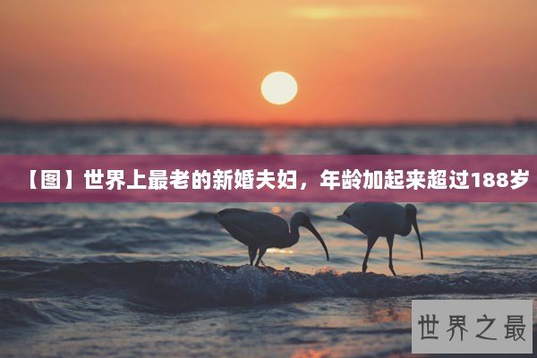 【图】世界上最老的新婚夫妇，年龄加起来超过188岁