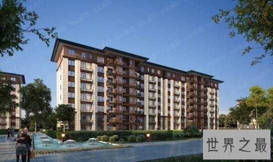 【图】最牛实习妹米露，一天售房30套(日薪10万元)