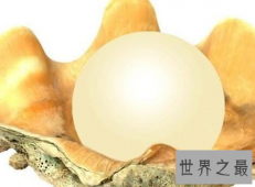【图】天然夜明珠绝世珍品竟然是这般模样难得一见