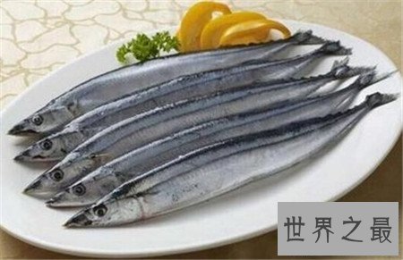 【图】最贵的鱼是什么鱼 价钱居然上万