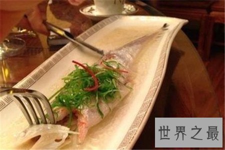 【图】最贵的鱼是什么鱼 价钱居然上万