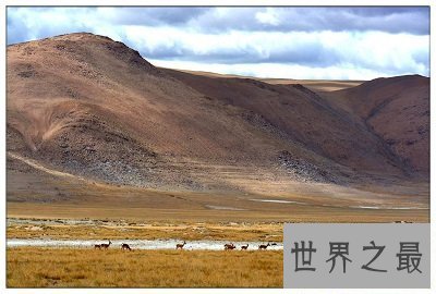 【图】中国四大无人区都在哪？体验最原生态的野性之