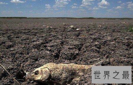 【图】人造灾害都有哪些 它们都是怎么构成的 有哪些危