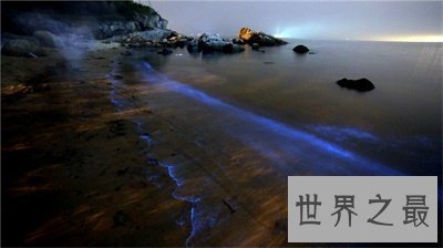 【图】荧光海滩真是又浪漫又神奇 竟然是这么构成的