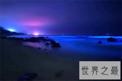 【图】荧光海滩真是又浪漫又神奇 竟然是这么构成的