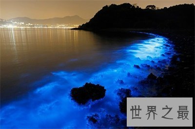 【图】荧光海滩真是又浪漫又神奇 竟然是这么构成的