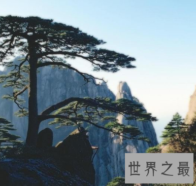 【图】假设我说长这么大中国四小名山都不知道 会不会