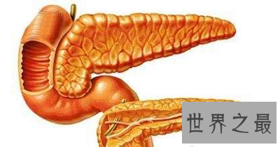 【图】你得胆汁反流性胃炎了吗？最佳治疗方法通知你