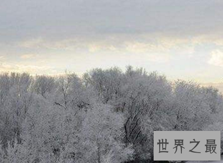 【图】千年极寒难得一遇的风险漂亮风光却会死人