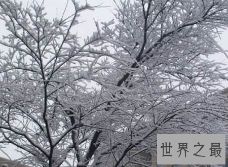 【图】千年极寒难得一遇的风险漂亮风光却会死人