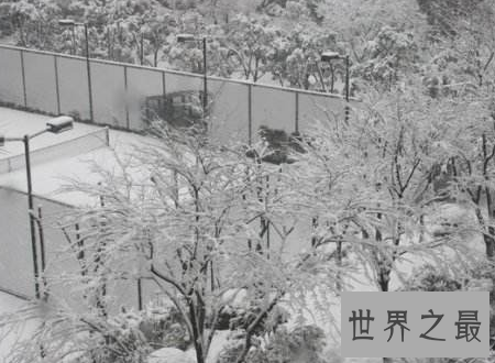 【图】千年极寒难得一遇的风险漂亮风光却会死人