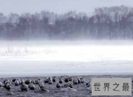 【图】千年极寒难得一遇的风险漂亮风光却会死人