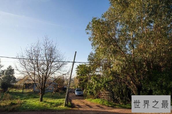 【图】世界最穷总统，乌拉圭总统穆希卡(身家仅1800美元