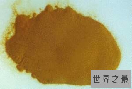 【图】海金沙的效用与作用是什么 它的价钱高吗