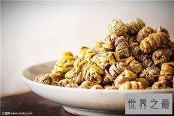 【图】石斛的功效与作用介绍 价格一直上涨已卖到150