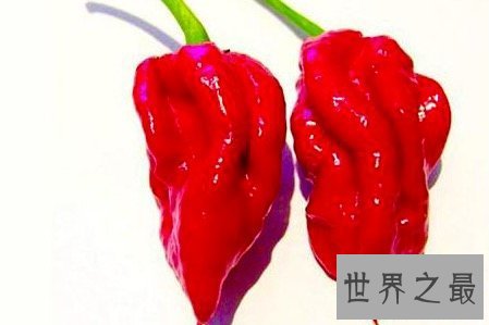 【图】最辣的辣椒可口迷人 咬一口足以让人喜喜洋洋