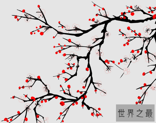 【图】中国十小名花，为首的兰花竟被炒到上亿元