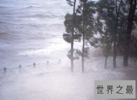 【图】中国台风网每一次的预测到底准不准可靠么