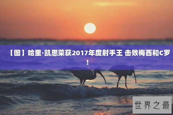 【图】哈里·凯恩荣获2017年度射手王 击败梅西和C罗！