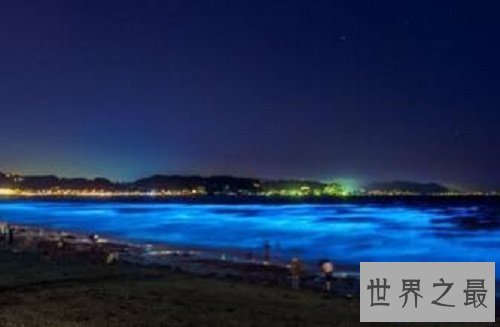 【图】浪漫游览的极佳之地大连荧光海滩