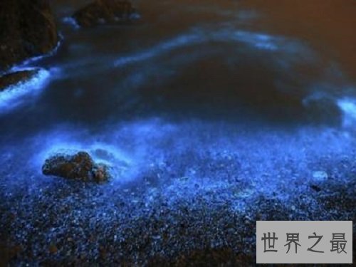 【图】浪漫游览的极佳之地大连荧光海滩