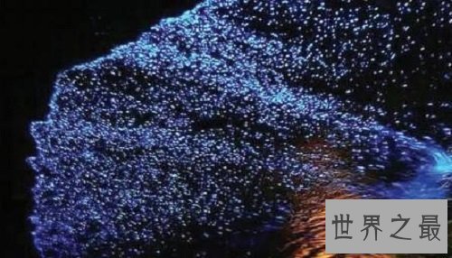 【图】浪漫游览的极佳之地大连荧光海滩