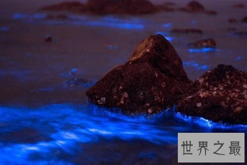 【图】浪漫游览的极佳之地大连荧光海滩